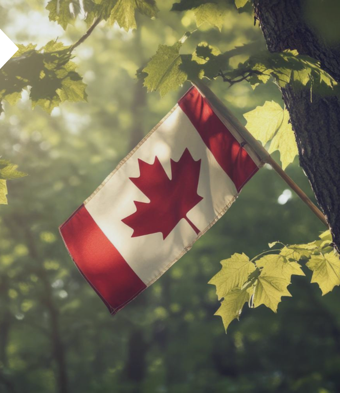 Canadian Founders